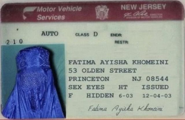 Hilarious Driver’s Licenses