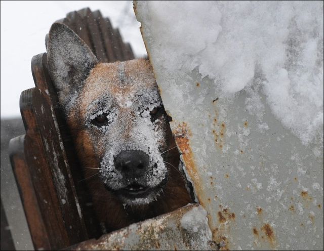 Snow Storm in Romania