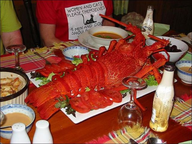 These Lobsters Would Go Great With Beer