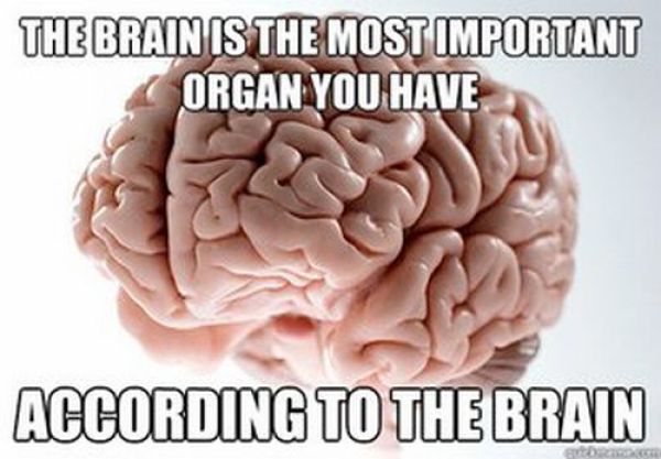 Funny "Scumbag Brain" Meme