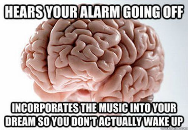 Funny "Scumbag Brain" Meme