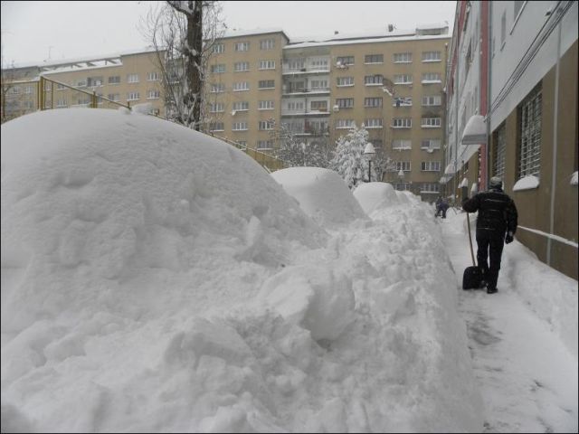 Snow Overload