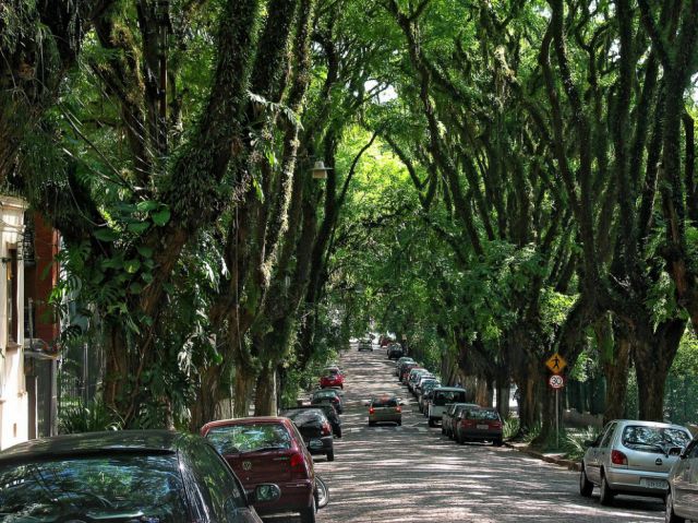 Brasilian Green Street