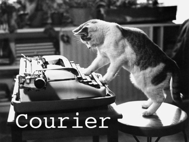 Cats That Must Have Inspired Popular Fonts