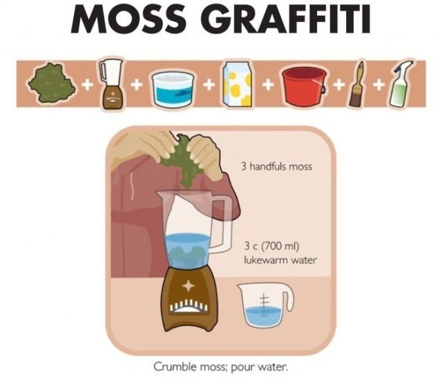 How to Make Moss Graffiti