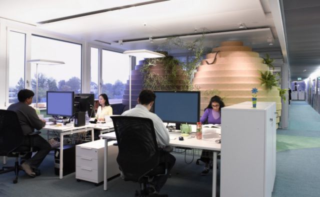 Creative Offices for Lucky Workers