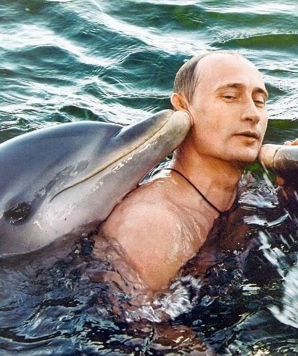 Unquestionable Reasons Why Putin Won the Election