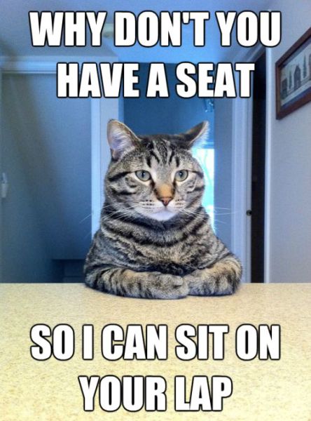 The Chris Hansen Meme Cat Wants to Talk