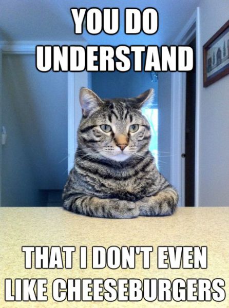 The Chris Hansen Meme Cat Wants to Talk