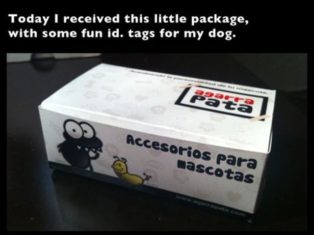 “Rage Faces” Name Tags for a Dog