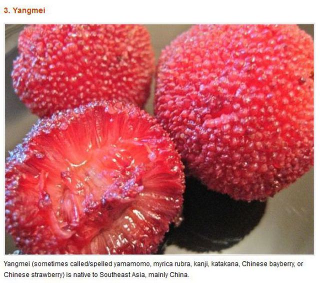 Freaky Fruits and Vegetables