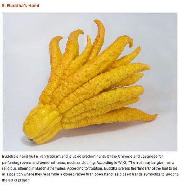 Freaky Fruits and Vegetables
