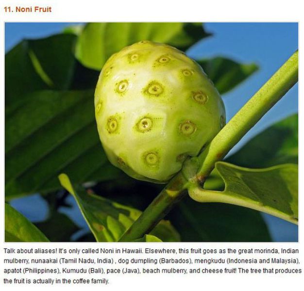 Freaky Fruits and Vegetables