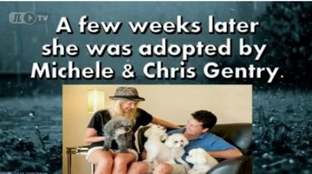 Rescued Puppy Given Second Chance