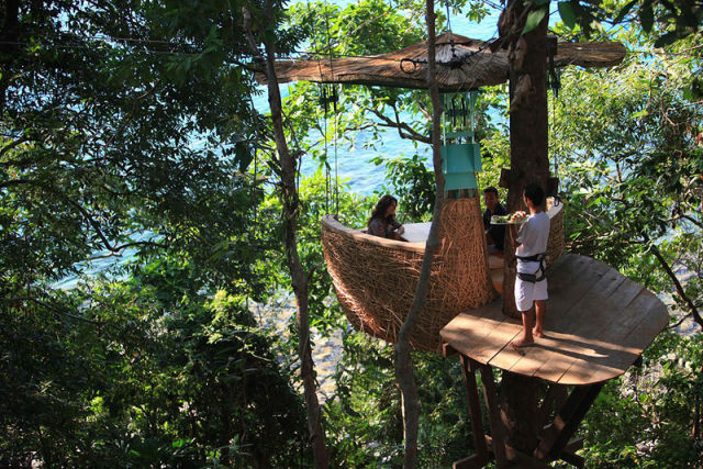 Luxurious Restaurant at the Treetop