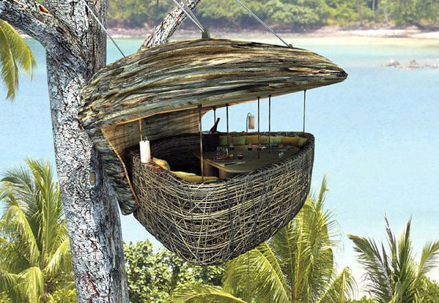 Luxurious Restaurant at the Treetop