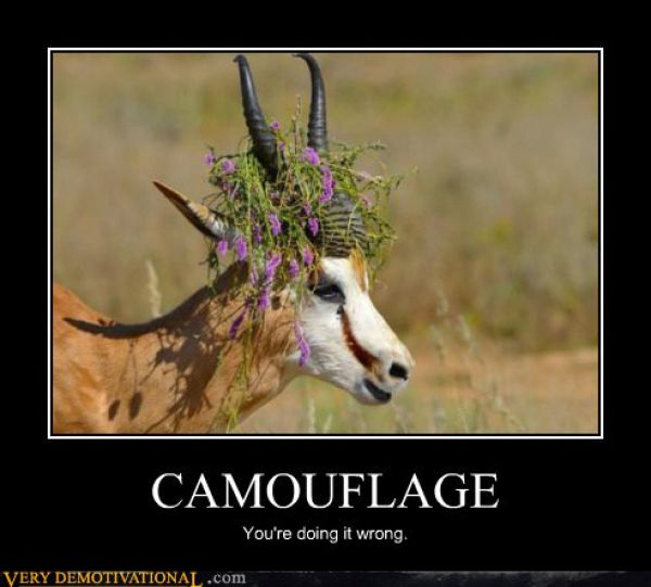 Demotivators Picdump
