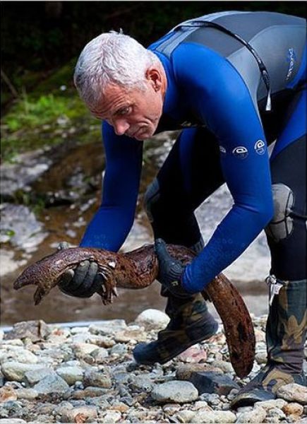 The Scariest River Monsters