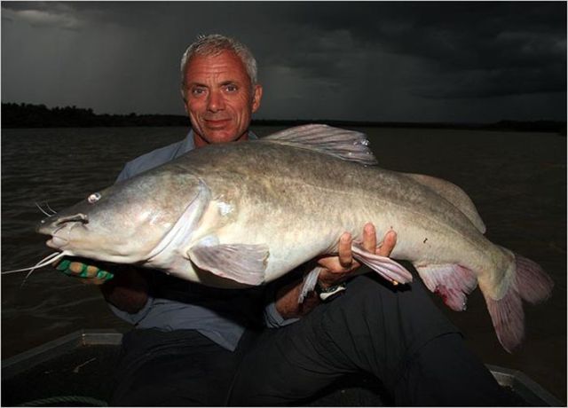 The Scariest River Monsters