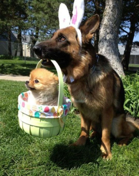 Easter Fun