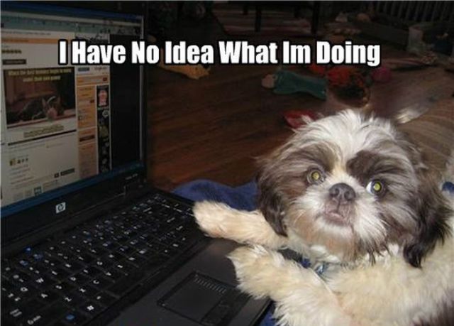 “I Have No Idea What I’m Doing” Meme (20 pics) - Izismile.com