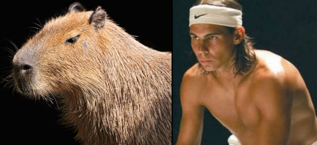 We Just Found a Lookalike of Rafael Nadal