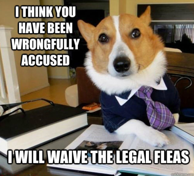 The Hilarious Lawyer Dog Meme (20 pics)