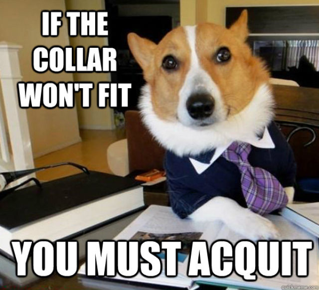 The Hilarious Lawyer Dog Meme (20 pics) - Izismile.com