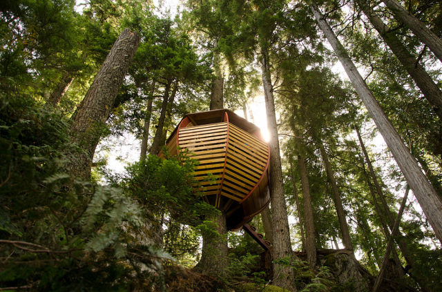 Awesome but Illegal Egg-Shaped Tree House