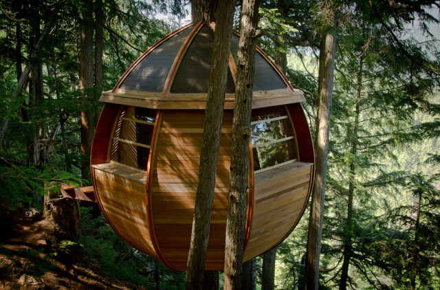 Awesome but Illegal Egg-Shaped Tree House