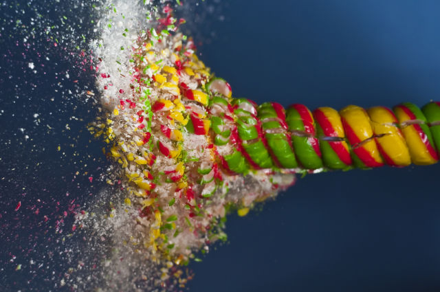 High-Speed Photos of Things Bursting Apart