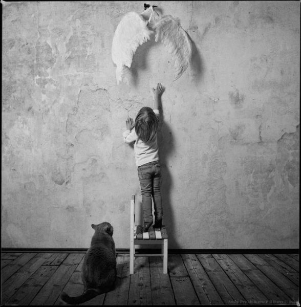 Artistic Little Girl and Cat Photos