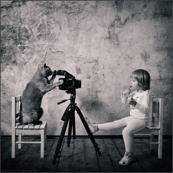 Artistic Little Girl and Cat Photos