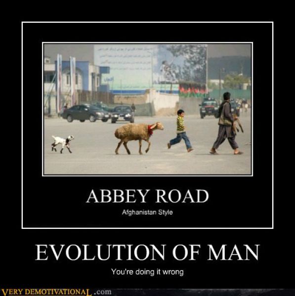 Demotivators Picdump