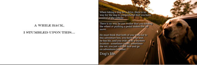 What a Dog Really Thinks When You Take It For a Ride