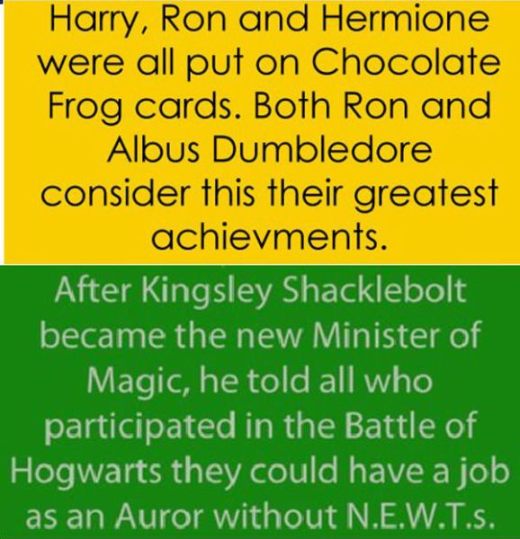 Curious Facts about the Harry Potter World