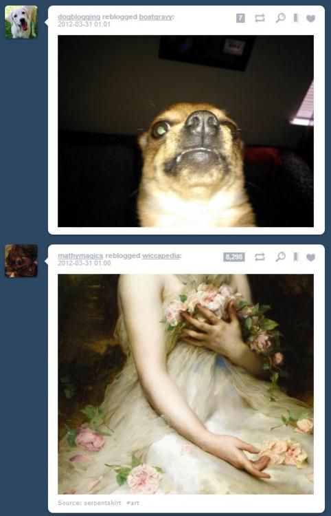 Tumblr Random Pics Funnily Match Each Other
