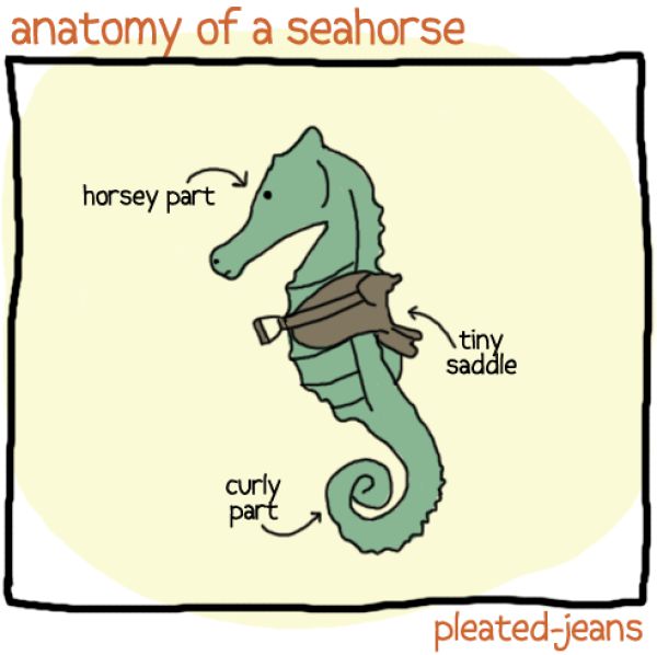 Funny Sea Life Drawings