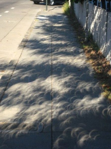Beautiful Annular Solar Eclipse Photos