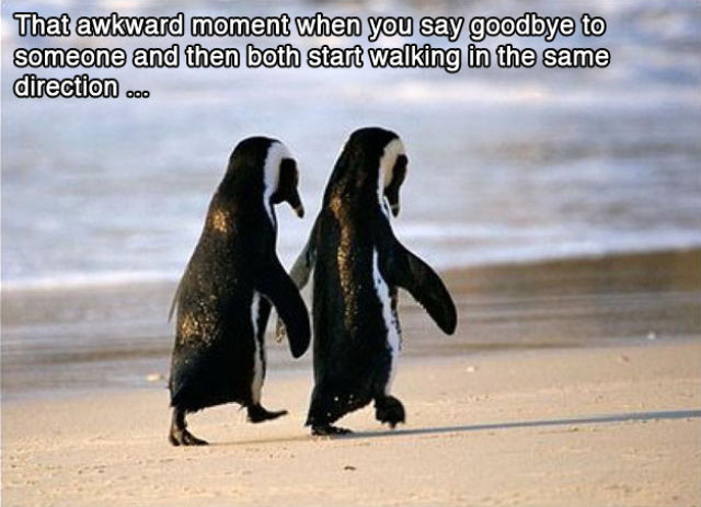 That Awkward Moment When…