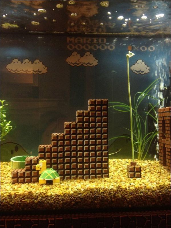 Super Mario Themed Aquarium