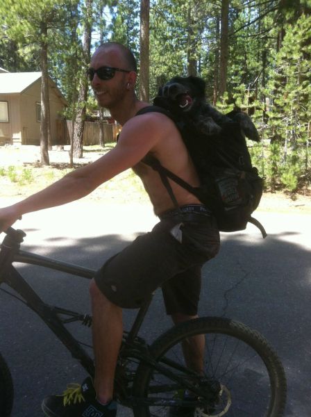 Daily Picdump
