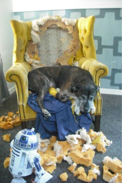 Daily Picdump