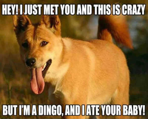 The Funniest “Call Me Maybe” Memes