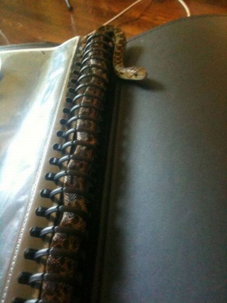morning_picdump_178_640_27.jpg