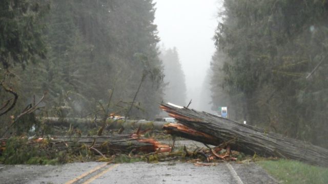 Modified Subaru Saves Lives in Windstorm