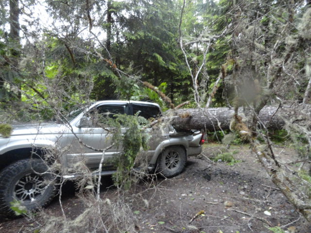 Couple’s Truck Crunched By Nature