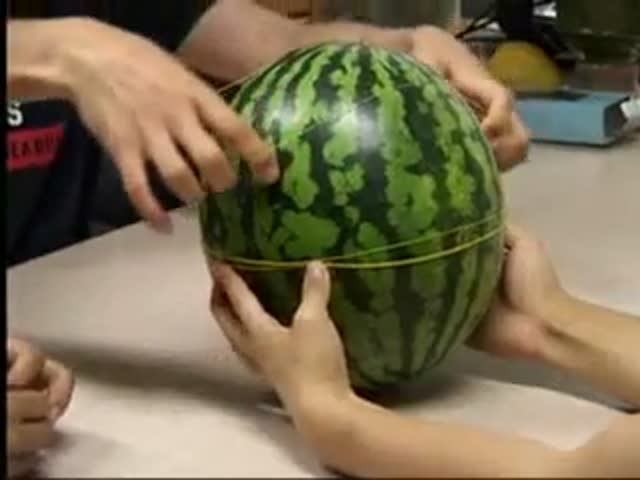 Fun Game with a Watermelon and Rubber Bands 