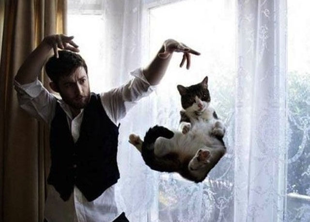 Perfectly Timed Cat Snaps