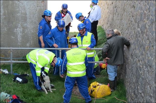 Dog Luckily Rescued in Cliffs